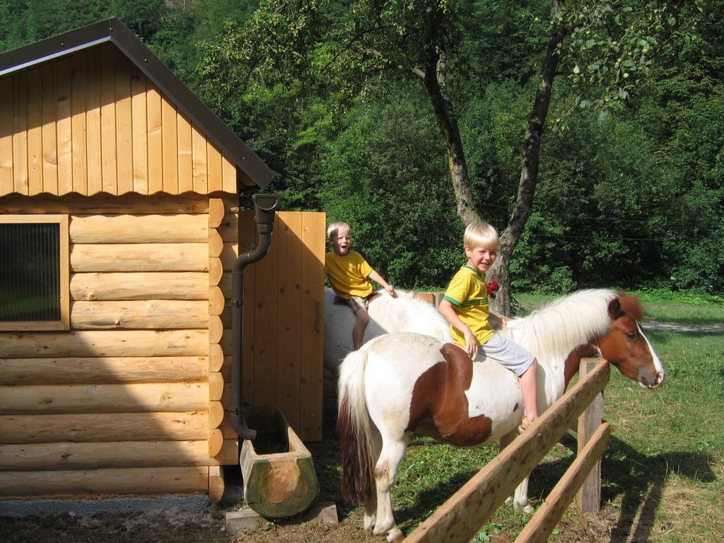 Apartment Sever Idrija Oda fotoğraf